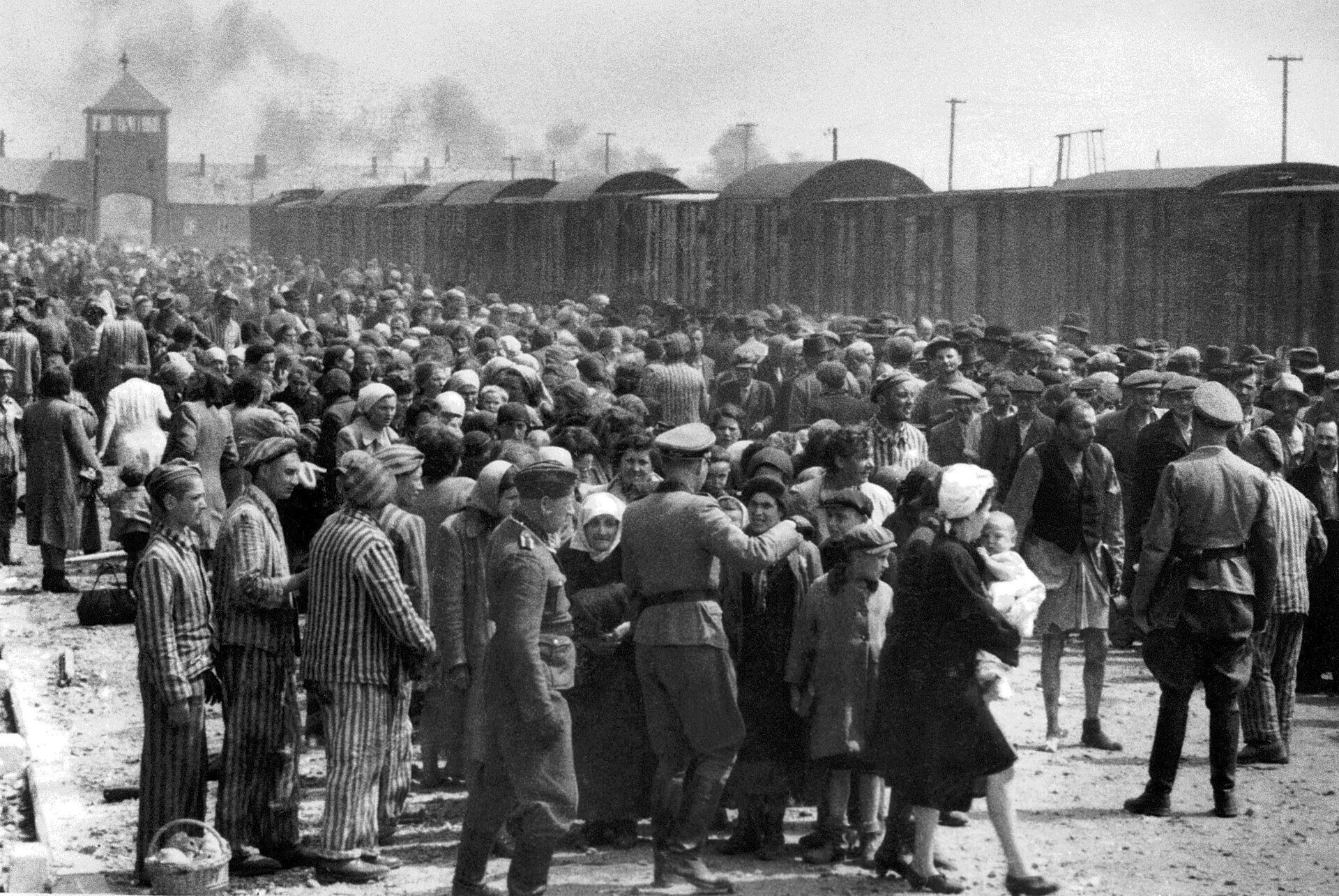 Auschwitz. l'image comme source