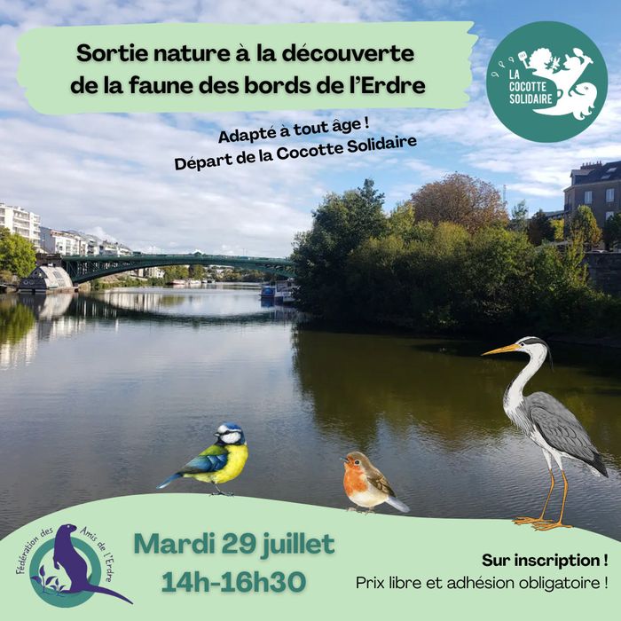 Balade naturaliste au bord de l'Erdre
