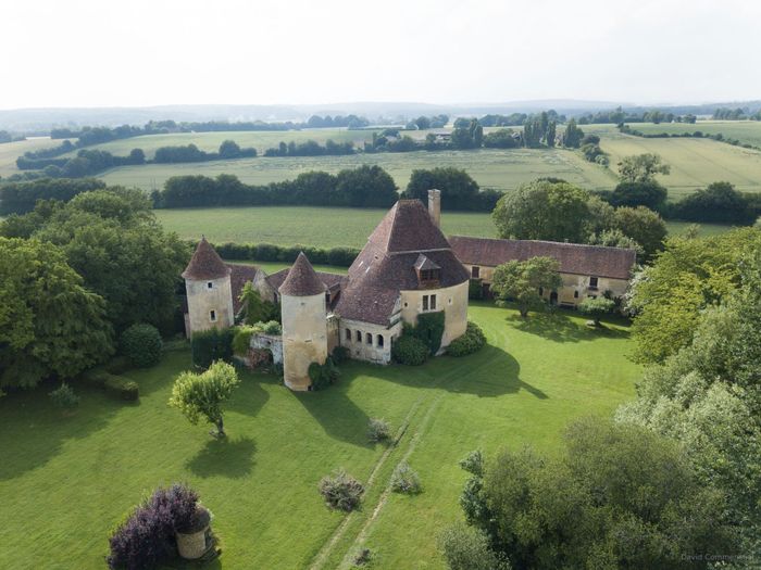 Visite guidée du manoir et de son arbre multi centenaire