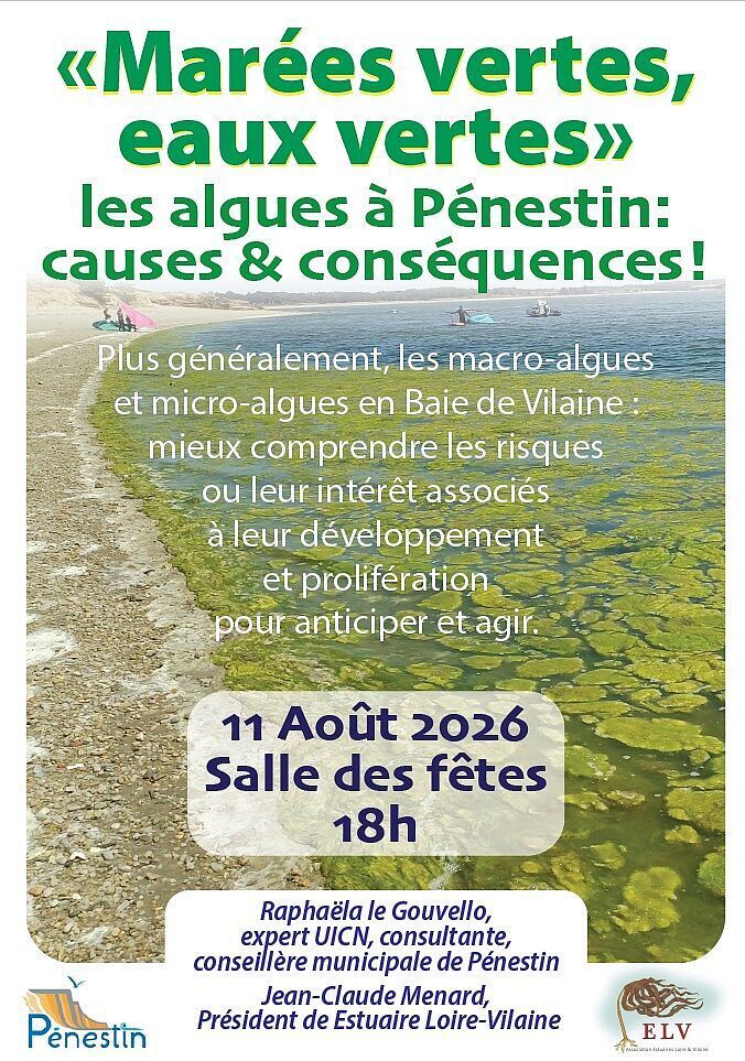 Conférence Marées vertes, eaux vertes, les algues à Pénestin : causes et conséquences