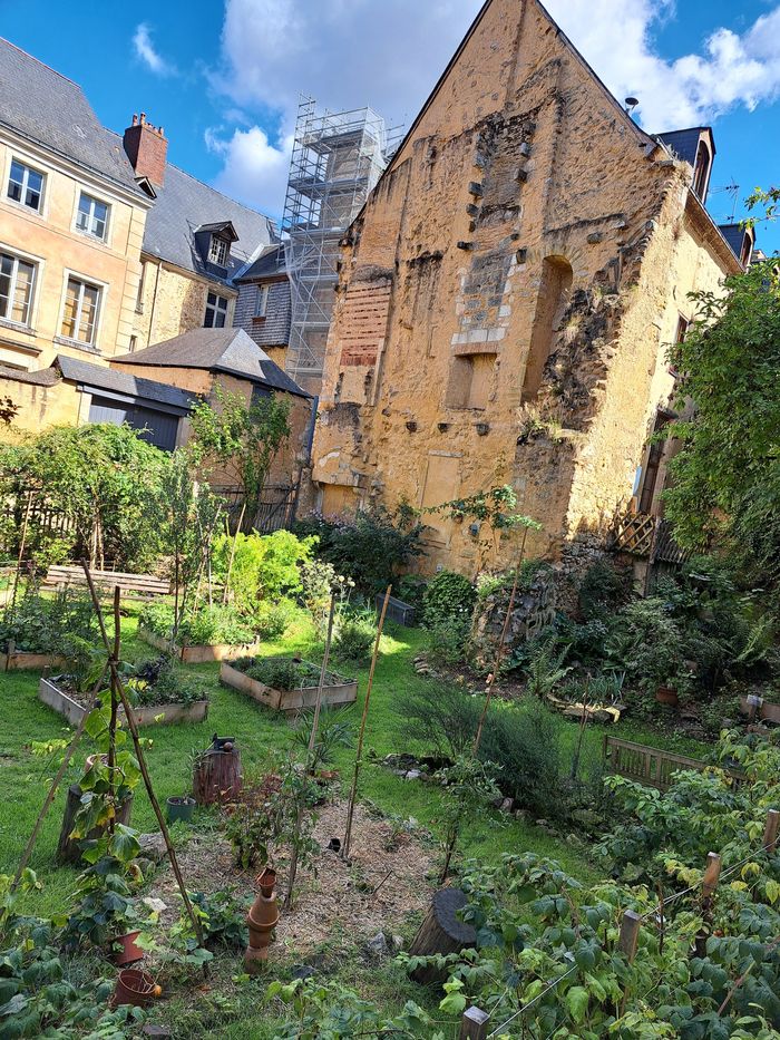 Visite du Potagenêt - jardin partagé