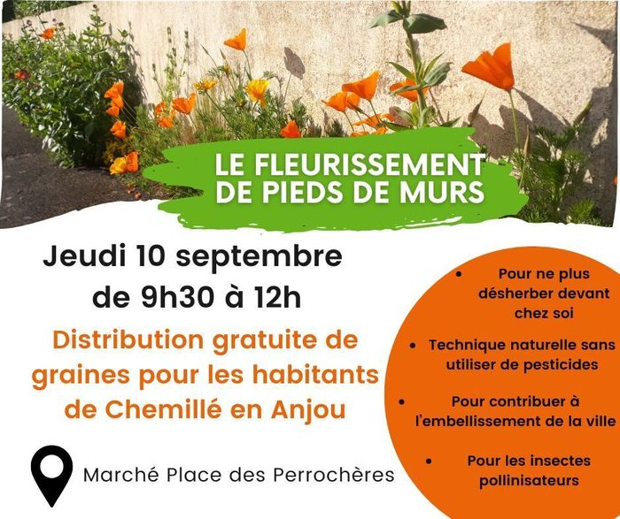 Distribution de graines de fleurs