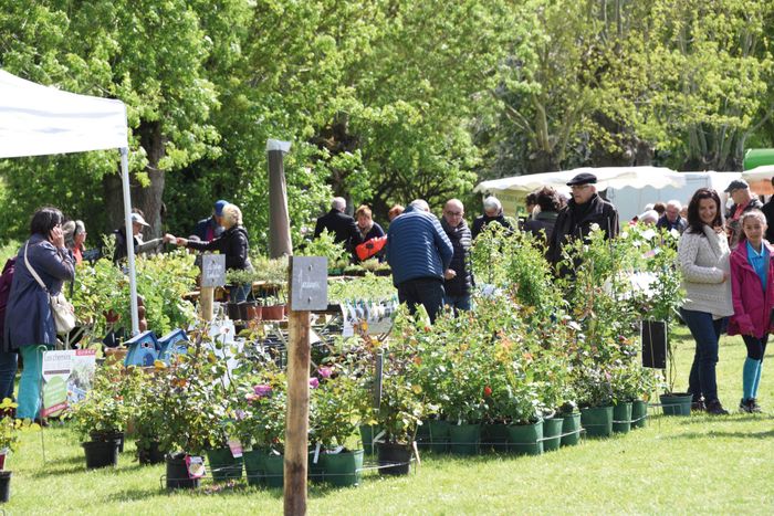 Chloroph'îles, la passion des plantes