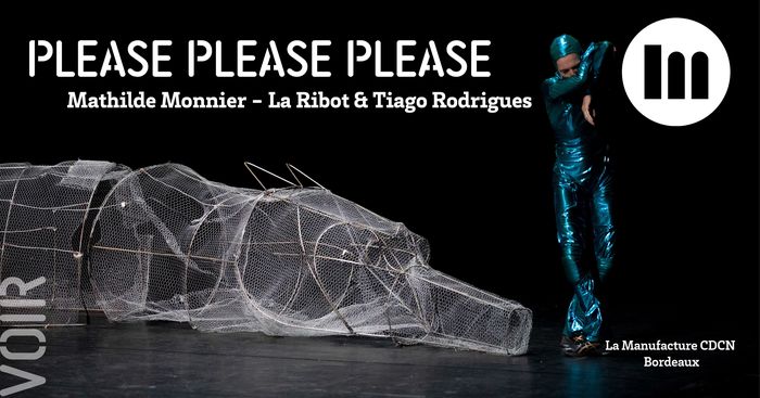 Please please please - Mathilde Monnier, La Ribot, Tiago Rodrigues