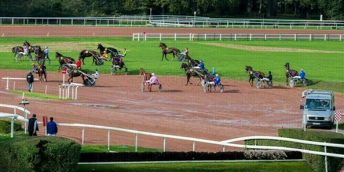 Courses hippiques : Trot