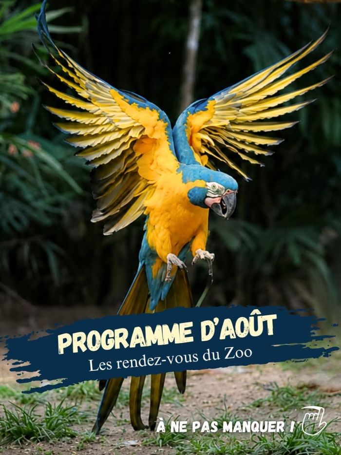 LES RENDEZ-VOUS DU ZOO MARTINIQUE