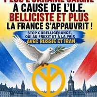 Manif pro-paix : "Plus l’Ukraine saigne à cause de l’U.E. belliciste et plus la France s’appauvrit !"