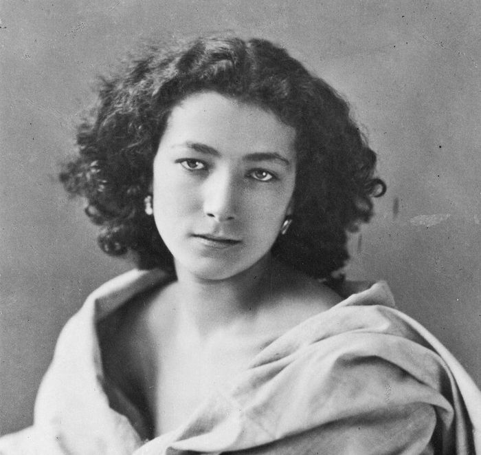 Faites connaissance avec l’extravagante Sarah Bernhardt, interprète mythique des plus grands dramaturges, qui triompha sur les scènes du monde entier ! Fantasque, habile à construire son image et sa…