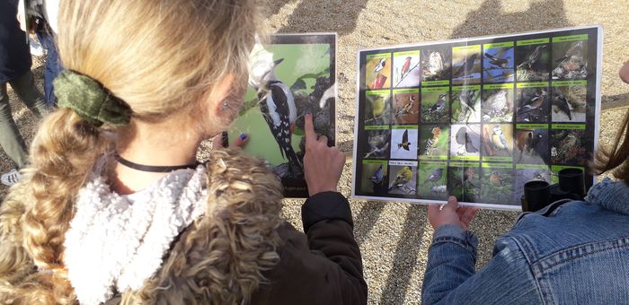 Observation des oiseaux au parc du Grand Blottereau ! - Biodivers'été