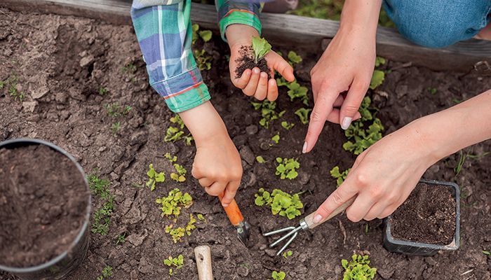 Permanences jardin