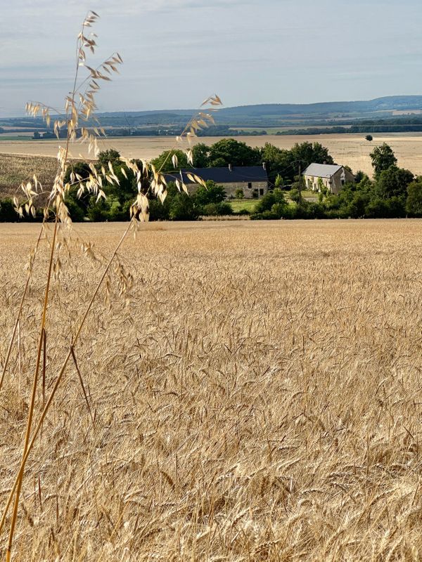 Photo du lieu