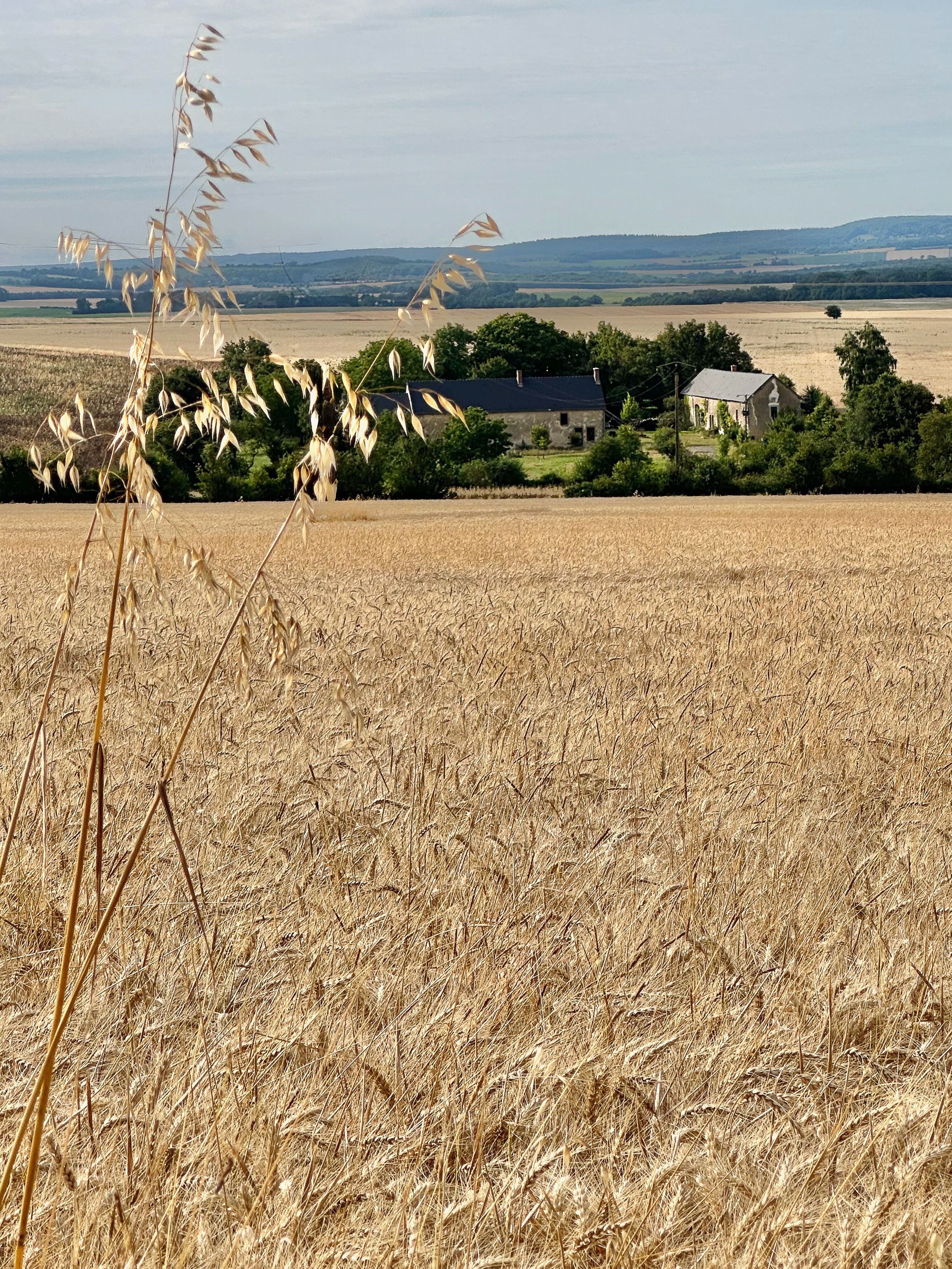 Photo du lieu
