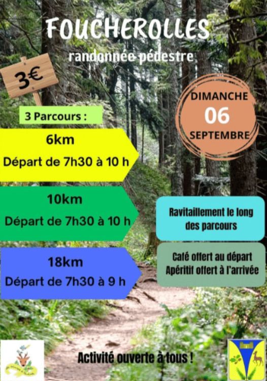 Arrière plan flou de l'image