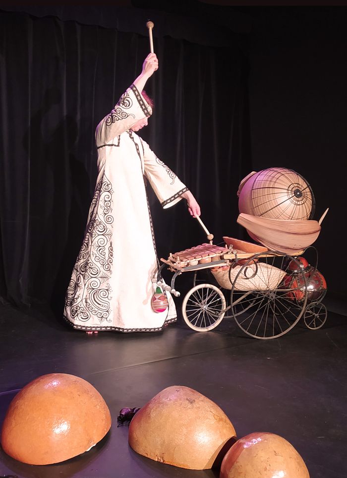 Proposition de spectacle pour le catalogue culturel du Loiret