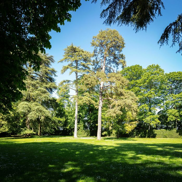Balades Guidées - Le parc du Château de Ray-sur-Saône et ses détails