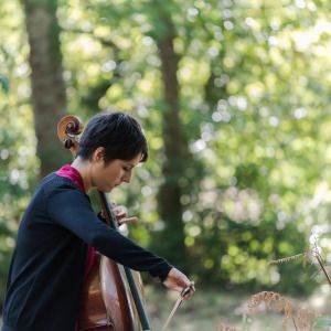Balade musicale en forêt