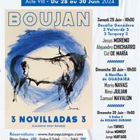 Toros y Campo Acte VIII