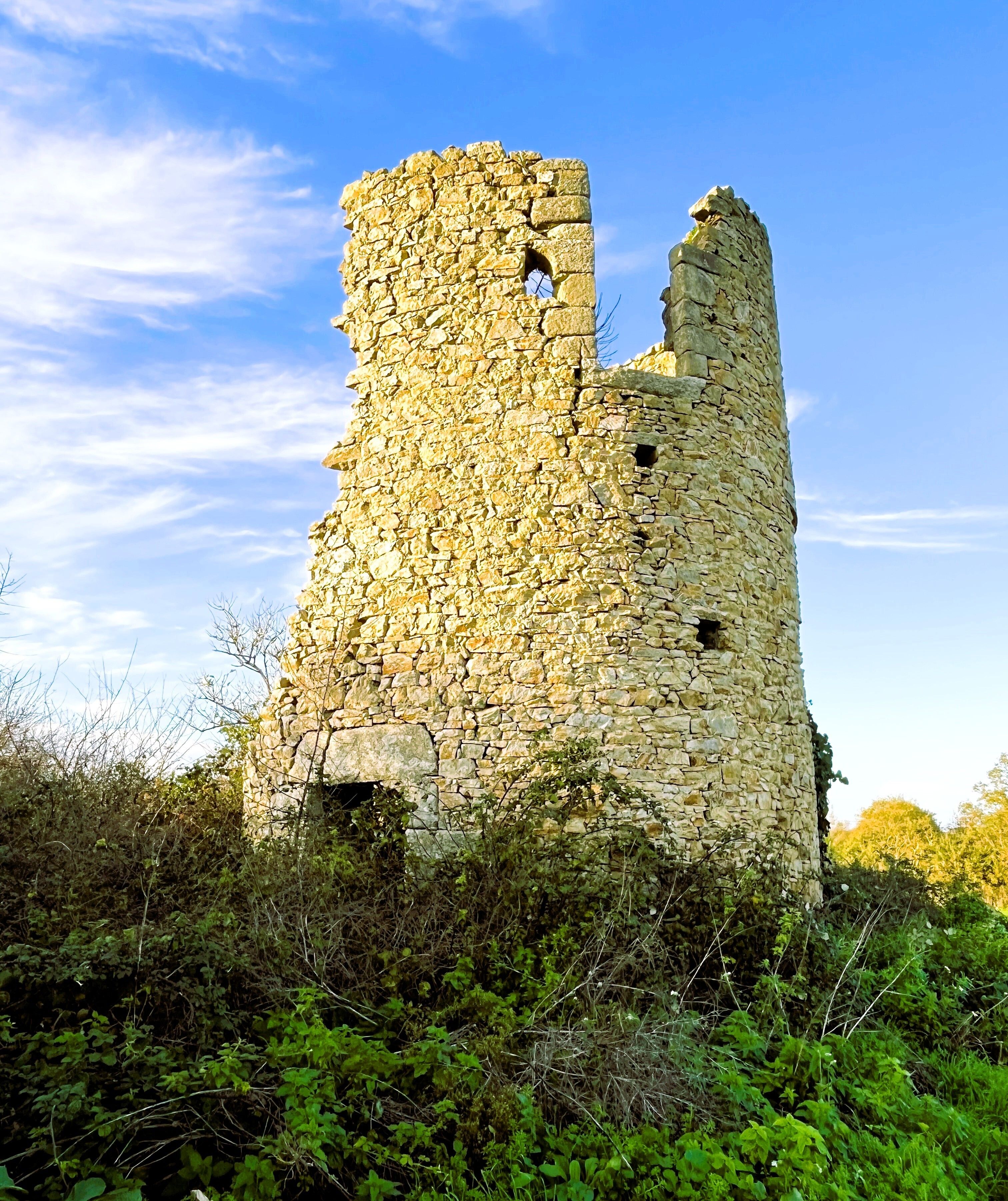 Les moulins en région nazairienne