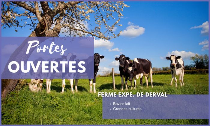 Journées Portes Ouvertes EFEA 2026-2027 - Découvrez les formations agricoles en Pays de la Loire (44)