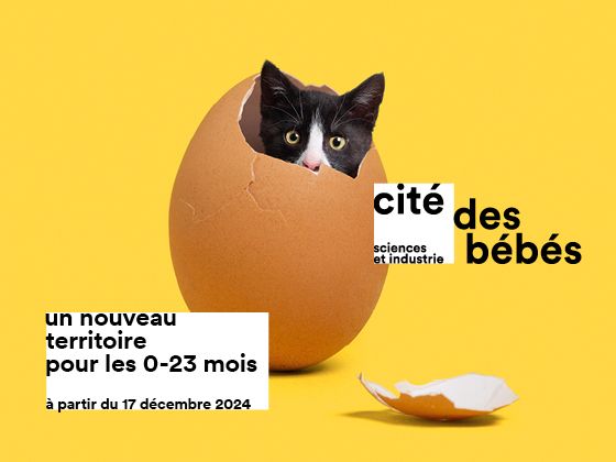 La Cité des bébés