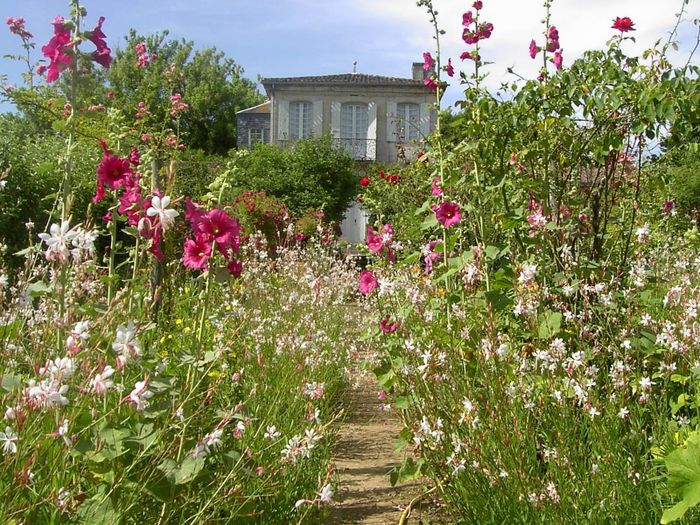 Au jardin de Jean-Jacques Rousseau