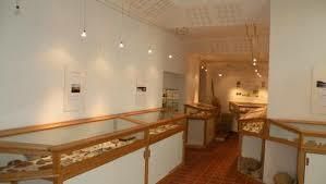 Musée Archéologique Jean Nicloux