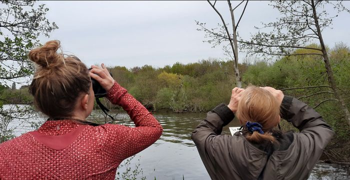 Observation des oiseaux au Lac de Grandlieu