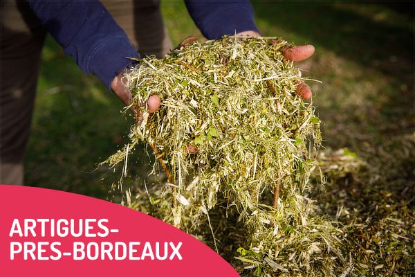 Distribution de broyat gratuit