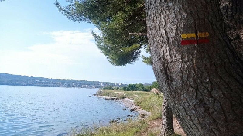 Eco balade autour de l'étang de Berre