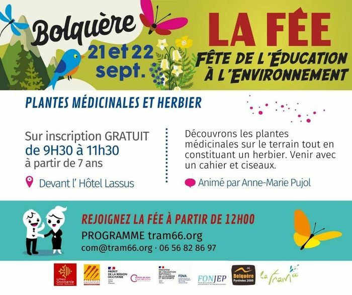 Plantes médicinales et herbier