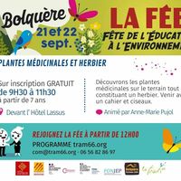 Plantes médicinales et herbier