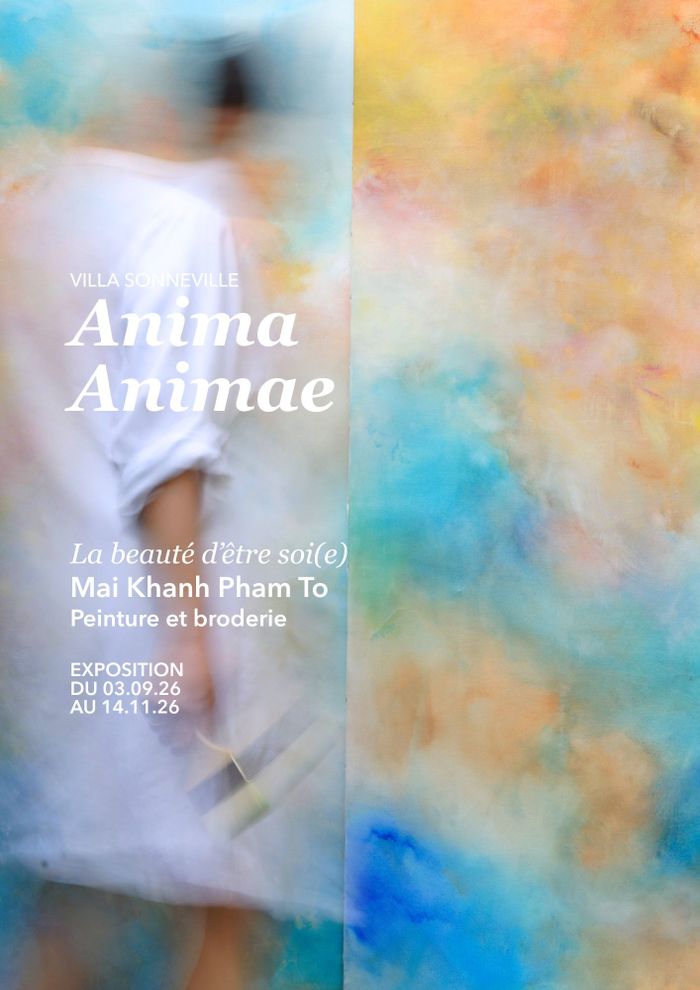 Anima, Animae