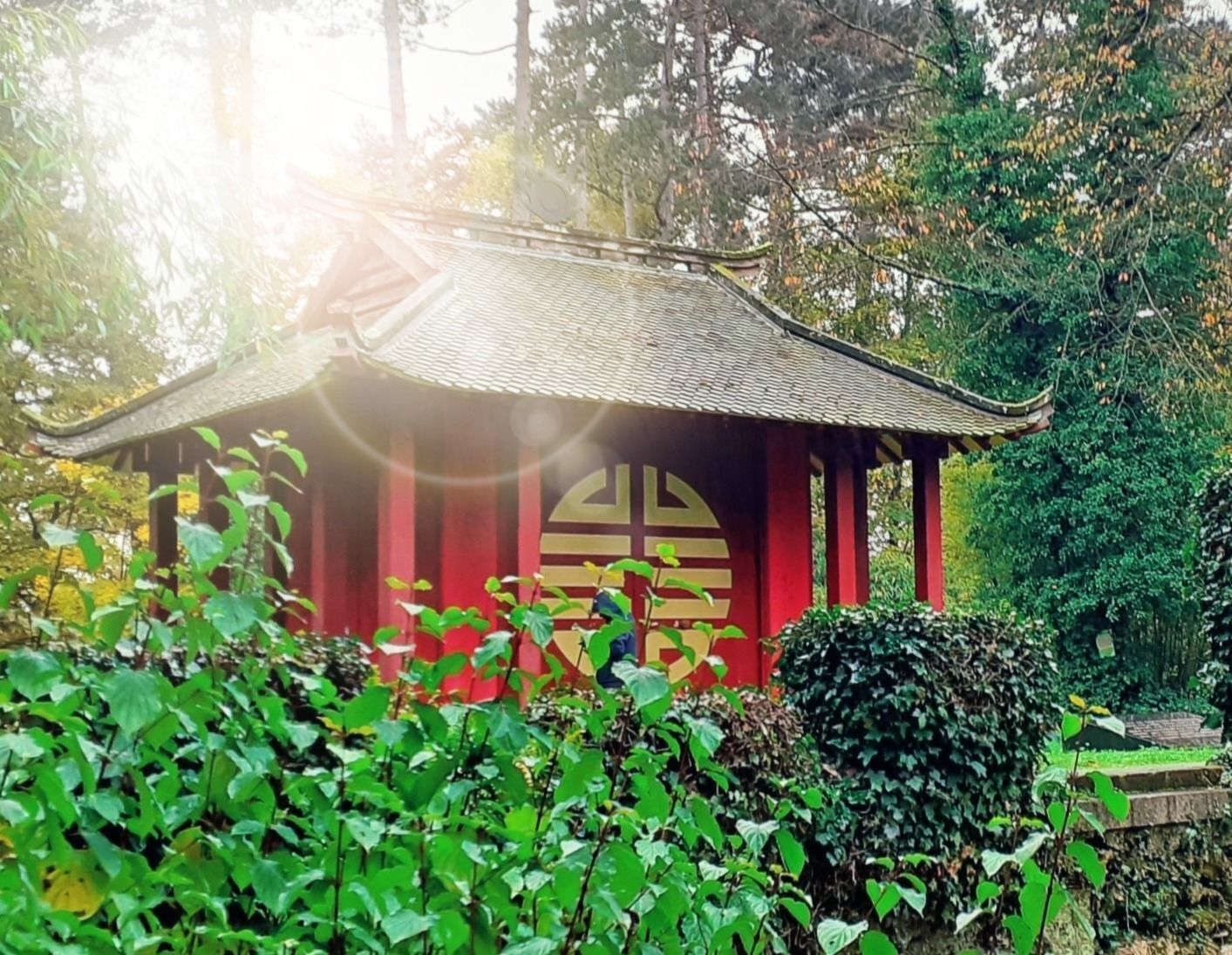 Marche et Méditation au Bois de Vincennes - jardin d'agronomie tropicale