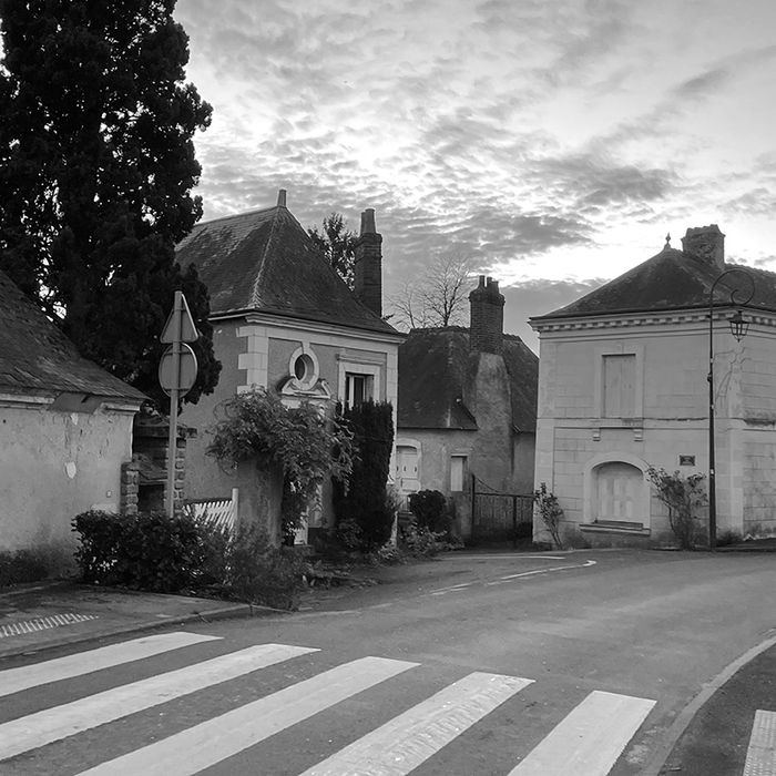 Journée plantation d'arbres à Chahaignes