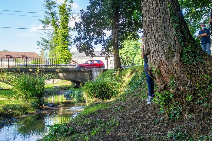 Nevers-sur-Nièvre, entre deux eaux