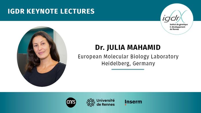 IGDR Keynote Lectures - Dr. Julia Mahamid, European Molecular Biology Laboratory