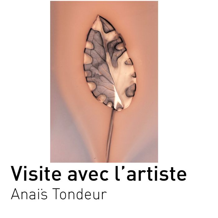 Visite avec l&rsquo;artiste