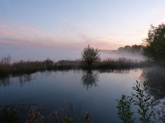 BERVILLE sur SEINE 76 : Animation ornithologie du GONm