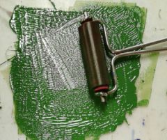 Stage gravure, les papillons du lépidoptériste !