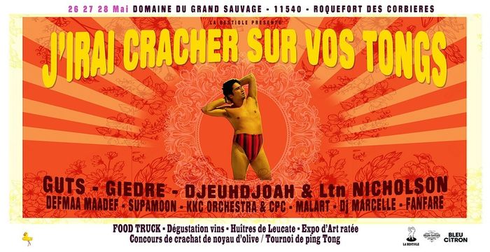J'irai cracher sur vos tongs