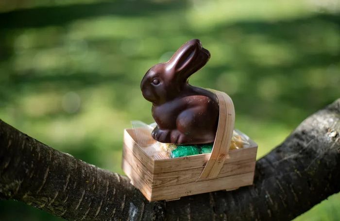 Chasse aux oeufs de Pâques