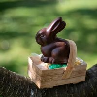 Chasse aux oeufs de Pâques