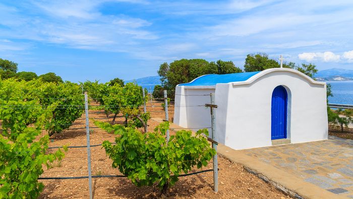 Atelier vins des îles