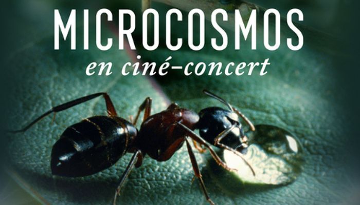 Ciné-concert Microcosmos, le peuple de l’herbe