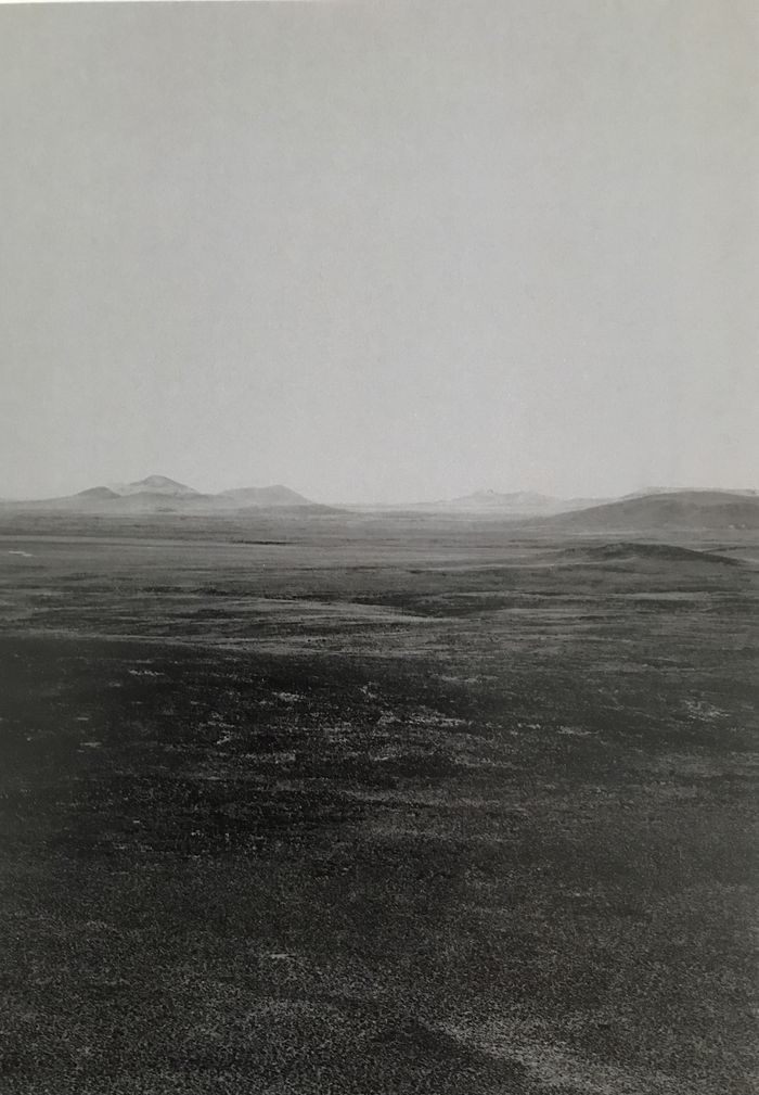 Exposition monographique Alejandro Erbetta à la BIENALSUR Argentine