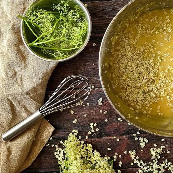 Atelier : cuisine des plantes sauvages
