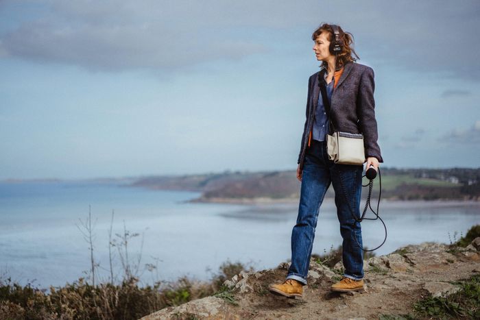 LES ALGUES VERTES