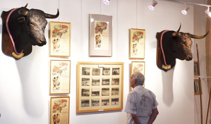 Exposition permanente du Mussée Taurin