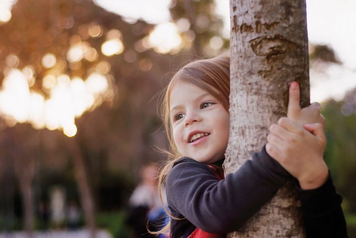 Des naissances, un arbre
