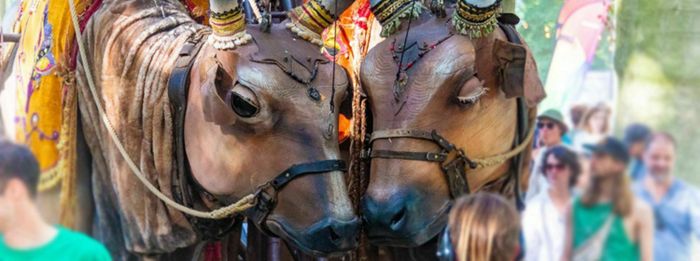 Noël à Sainte-Luce : la balade des Vaches sacrées